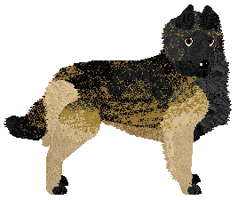 Profile image of Riverdance Rough Around the Edges