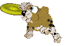 Funfetti/Poppyhill's Rare Refinement — “Royce”