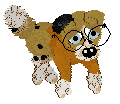 Funfetti/Poppyhill's Rare Refinement — “Royce”