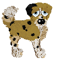 Funfetti/Poppyhill's Rare Refinement — “Royce”