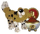 Funfetti/Poppyhill's Rare Refinement — “Royce”