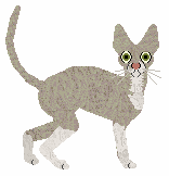 Profile image of Cymophane's Charming Little Lizard at Fauvelle