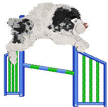 Poppyhill's The Ghost of Us — “Phantom”