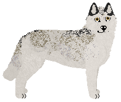 Profile image of Wildside Silver Lining