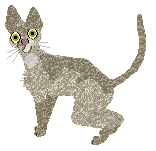 Profile image of Cymophane's Charming Destination at Vanilla