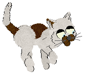 Profile image of Chachke's Jumping Bean at Vanilla