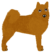 Profile image of PHM's Anomaly Spotter