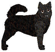 Profile image of Filigree's Spell It Out