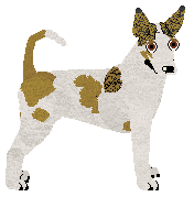 Profile image of Dragosani GWIEZDNY SPISEK