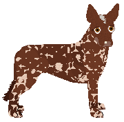 Profile image of Dragosani MIĘDZYGALAKTYCZNA KSIĘŻNICZKA