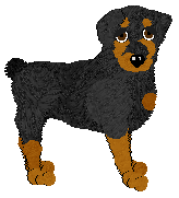Profile image of Vivaldi Pasttime