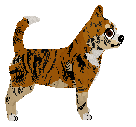 Rosestone's Tiny Bite Might — “Tiger”