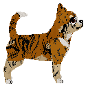 Rosestone's Tiny Bite Might — “Tiger”