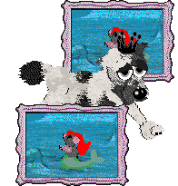 Funfetti/Poppyhill's The Power of Yet — “Pandy”
