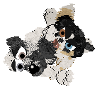 Funfetti/Poppyhill's The Power of Yet — “Pandy”