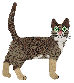 Profile image of Brytyjski's Kopi Royale