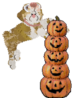 Funfetti/Poppyhill's Byronic Heroine at Chachke — “Bronte”