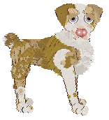 Funfetti/Poppyhill's Byronic Heroine at Chachke — “Bronte”