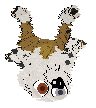 Funfetti/Poppyhill's Literally Uncatchable at Amenity — “Miata”