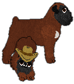 Profile image of Witz's Grey Market Import