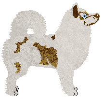 Profile image of Wildside Sundance Kid