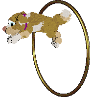 Funfetti/Poppyhill’s Catching The Scenic Route at FK — “Scout”