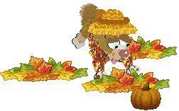 Funfetti/Poppyhill’s Catching The Scenic Route at FK — “Scout”