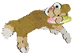 Funfetti/Poppyhill’s Catching The Scenic Route at FK — “Scout”