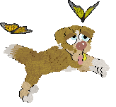 Funfetti/Poppyhill’s Catching The Scenic Route at FK — “Scout”