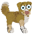 Funfetti/Poppyhill’s Catching The Scenic Route at FK — “Scout”