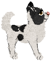 Pachelbel's Velvet Rose — “Velvet”