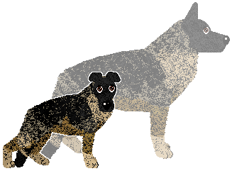 Profile image of Flockstars Hot Pursuit at Gracepoint