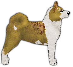 Profile image of Blizzard Sesame