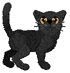 Profile image of Macavity Grimmauld Place