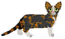 Macavity One in A Krillion — “Krill”
