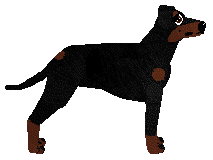 Profile image of Ginpit’s By ’Eck