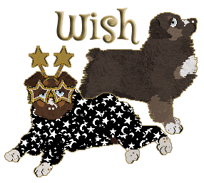 Profile image of Moonvale's Wish I May