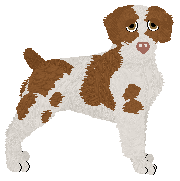 Profile image of Moonvale's Oxus Oura