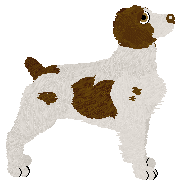 Profile image of Moonvale's Golden Gale