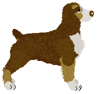 Profile image of Moonvale's Wild Zephyr