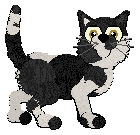 Profile image of Calluna's Doyenne of Her Field