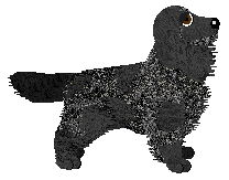 Moonvale's Sleepless In The Onyx Night — “Onyx”