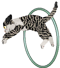 Macavity Battle Trozei — “Zigzagoon”