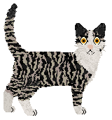 Macavity Battle Trozei — “Zigzagoon”