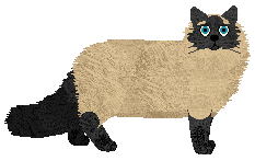 Wish's Catnip Charms — “Herbella”
