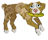 Funfetti/Poppyhill’s Quite Illiterate, But I Read A Lot at SzK — “Holden”