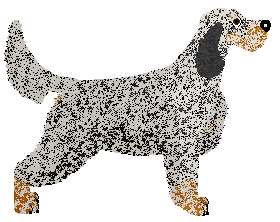 Settfever Little One — “Lolo”
