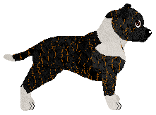 Profile image of Rock's Mary Jane