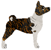 Wish's Serengeti Warrior — “Kibo”