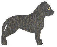 Profile image of Rock's Midnight Kush